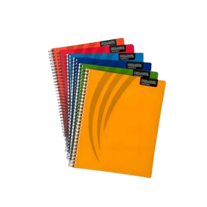 CUADERNO UNIVERSITARIO PROARTE